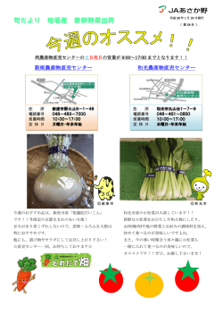 旬だより 地場産 新鮮野菜出荷