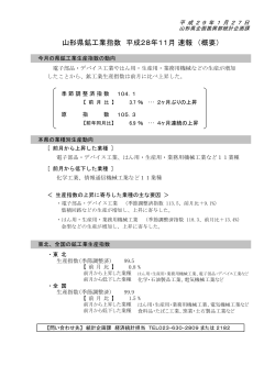 （平成28年11月）概要版 (PDF documentファイル