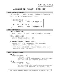 （平成28年11月）概要版 (PDF documentファイル