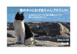 港のネコとおばあちゃんプロジェクト [PDF 2189KB]