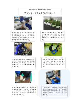 プランターでお米をつくりました