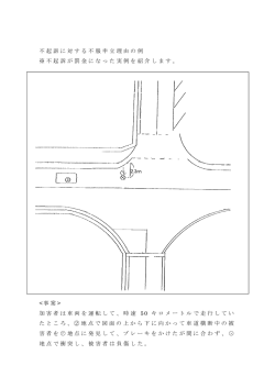 不起訴処分に対する不服申立例