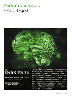 Digest 03
