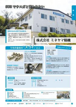 株式会社 ミネヤマ精機