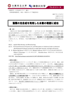 藻類の光合成を利用した水素の増産に成功