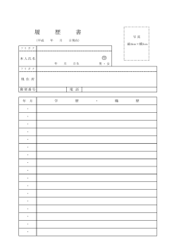 PDFファイル