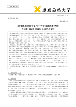 1/3 生体膜表面に結合するタンパク質の拡散現象の解明