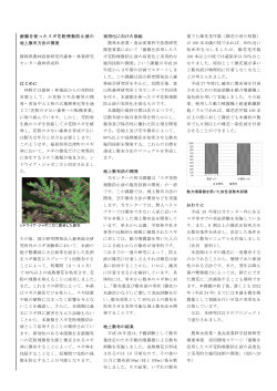 菌類を使ったスギ花粉飛散防止液の 地上散布方法の開発 静岡県農林