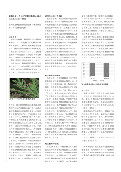 菌類を使ったスギ花粉飛散防止液の 地上散布方法の開発 静岡県農林