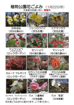 植物公園花ごよみ （1月22日号）