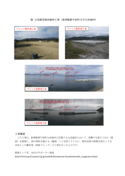㉚ 大泊海岸海岸維持工事（東津軽郡今別町大字大泊地内） 工事概要