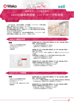 PowerPoint プレゼンテーション