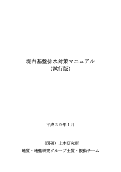 堤内基盤排水対策マニュアル （試行版）