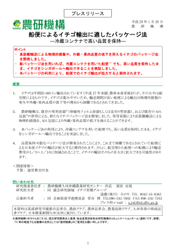 船便によるイチゴ輸出に適したパッケージ法
