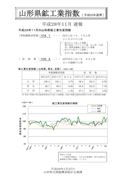 （平成28年11月） (PDF documentファイル サイズ