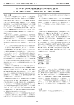 モデルマウスを用いた多型突然変異型 mtDNA に関する基礎