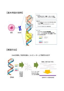 補足資料 [PDFファイル／243KB]