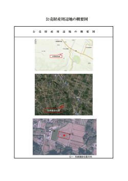 公売財産周辺地の概要図