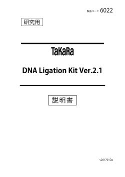 DNA Ligation Kit Ver.2.1