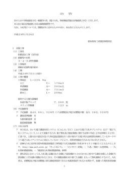 （電子入札、特別簡易型総合評価落札方式）に付