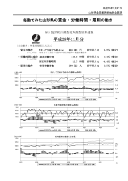 （平成28年11月分） (PDF documentファイル サイズ： 1679Kb)