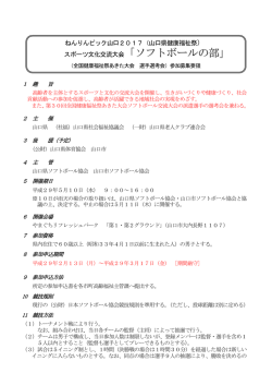 要領（PDF：246KB）
