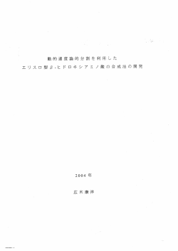 Page 1 動的速度論的分割を利用した ェリスロ型 3