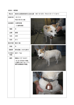収容犬・猫情報 問合先 東部生活環境事務所生活安全課 0857-20
