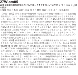 前骨芽細胞の細胞増殖における中コンダクタンスCa 2+ 活性化K +