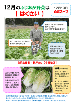 藤岡産白菜 生産者の紹介