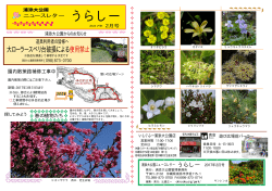 浦添大公園ニュースレター2017.2月[PDF：1MB]