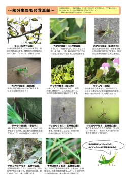 ～秋の生きもの写真館～