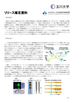 リリース補足資料