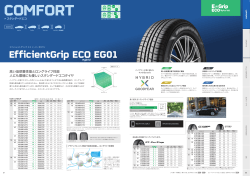 エフィシエントグリップ エコ EG01 公式カタログ｜日本グッドイヤー