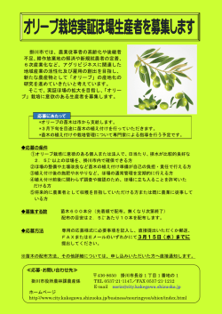募集チラシ（PDF 253KB）