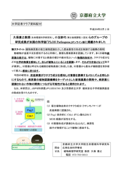 発表資料 - 京都府立大学