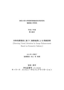 Directing Visual Attention by Image Enhancement Based on
