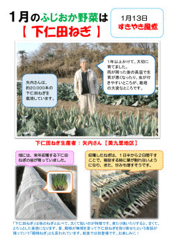 藤岡産下仁田ねぎ 生産者の紹介
