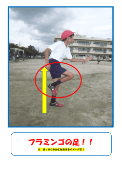 フラミンゴの足！！