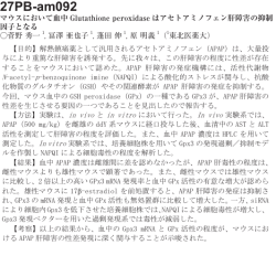マウスにおいて血中Glutathione peroxidaseはアセトアミノフェン肝障害