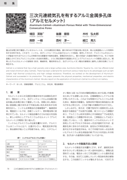 三次元連続気孔を有するアルミ金属多孔体 （アルミセルメット）