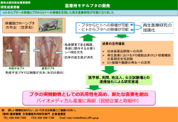 ブタの実験動物としての汎用性を高め、新たな需要を創出 バイオ