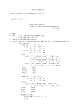 次のとおり一般競争入札（政府調達対象外）に付し