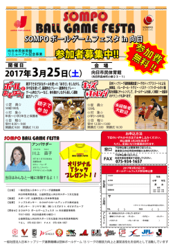 ボールゲームフェスタ 2016 in 向日 チラシ（6