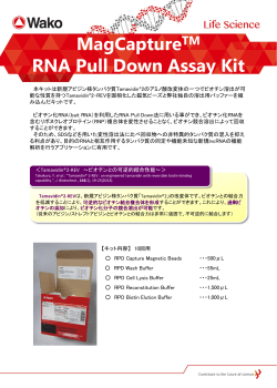 MagCaptureTM RNA Pull Down Assay Kit