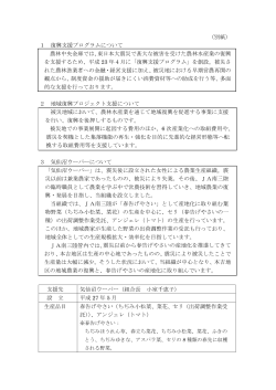（別紙） 1 復興支援プログラムについて 農林中央金庫では、東日本
