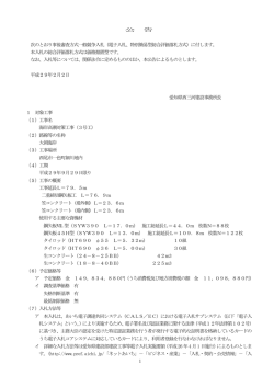 （電子入札、特別簡易型総合評価落札方式）に付