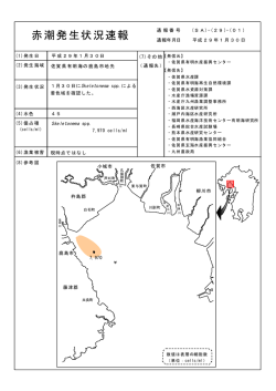 Hanako-SA-29-01 速報HP（九州地