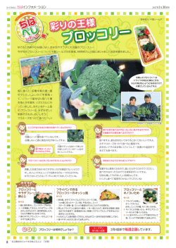 レポート