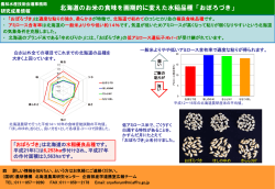 北海道のお米の食味を画期的に変えた水稲品種「おぼろづき」